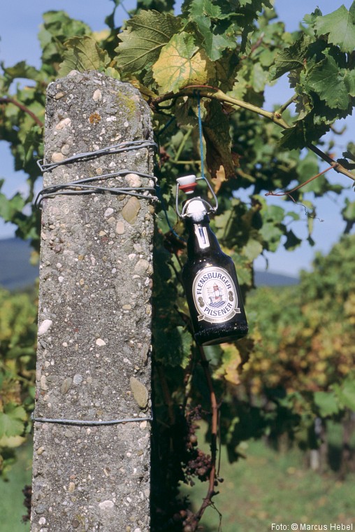 Flensburger