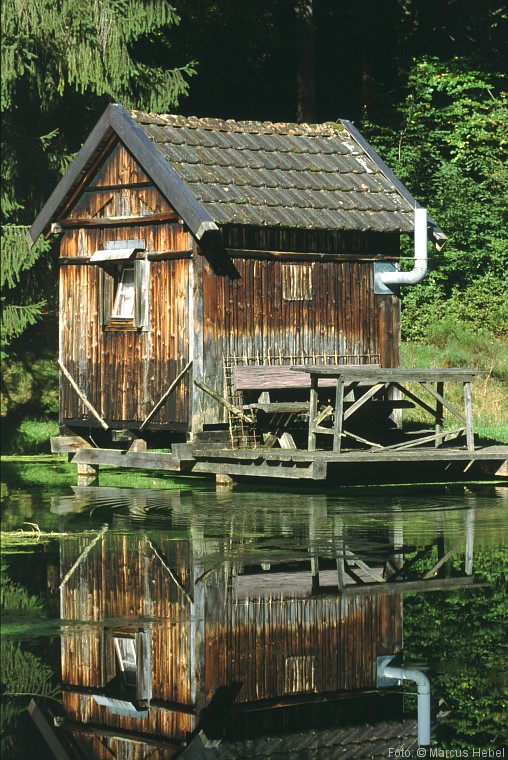 Wasserspiegel